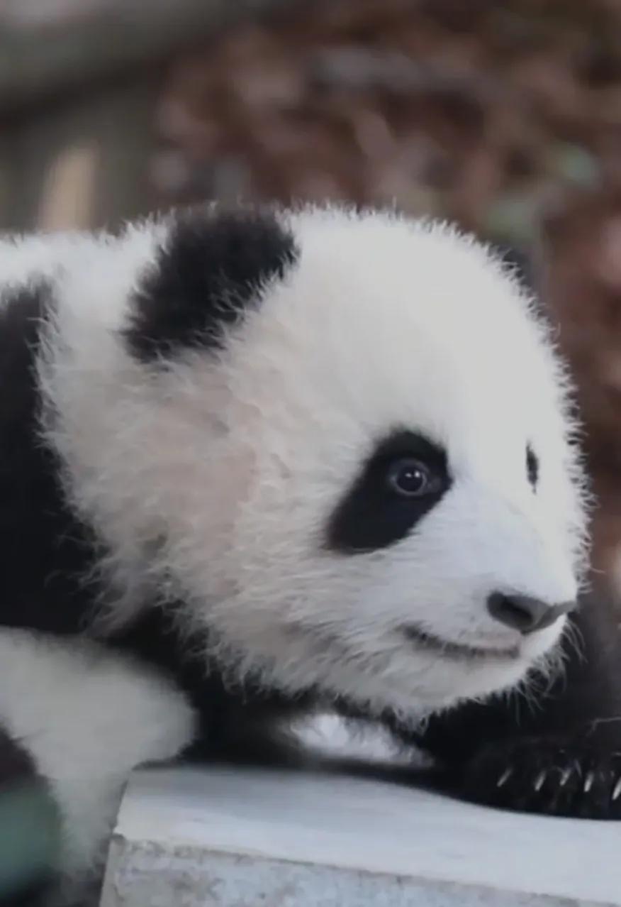 健康小常识：我经常会和患者说好多中医方面的知识，让每个人都懂点中医，绝不是为了去