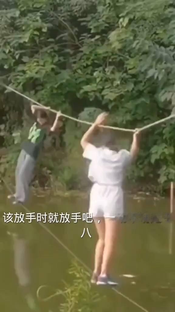 该放手时就放手吧，一动不动是王八。