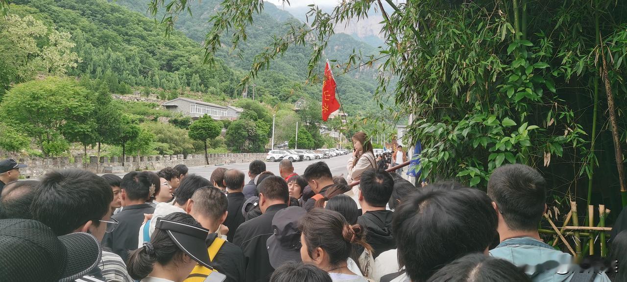 南太行天界山都别来了。
排了俩小时队终于进了景区，但摆渡车跟不上，游客又都堵在了