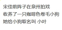 宋佳姐狗文学  宋佳给小狗取名小叶 宋佳姐狗文学。啊啊啊啊姐姐我也可以是你的狗[