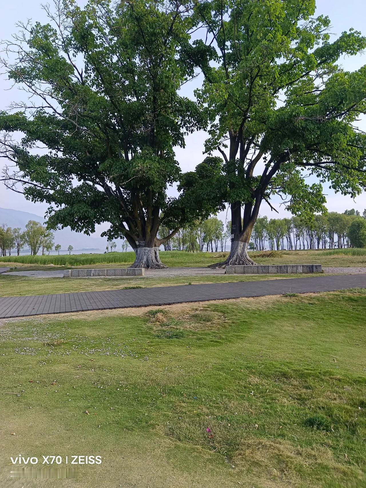 下联：年年健健康康。求上联岁岁平平安安