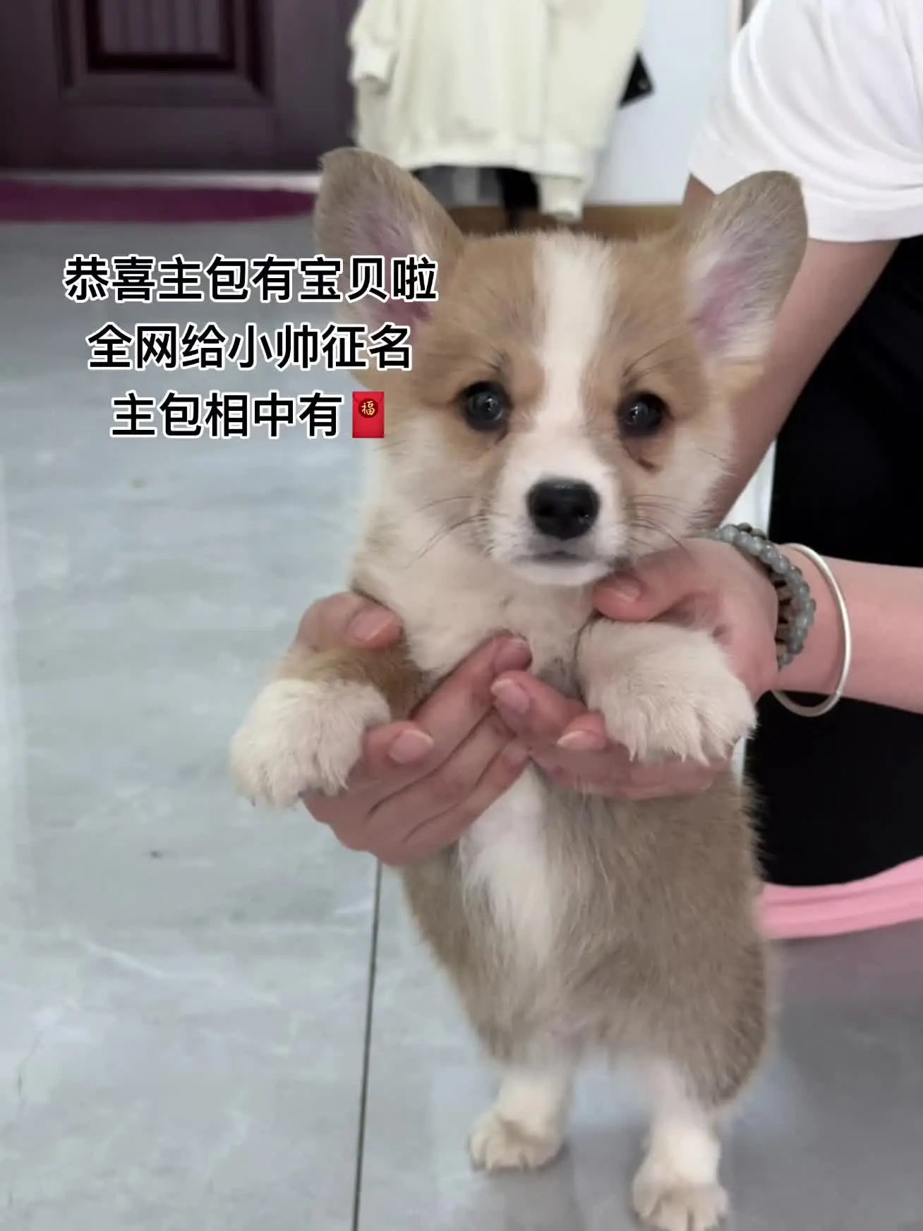 给俺家大宝起个名字吧～