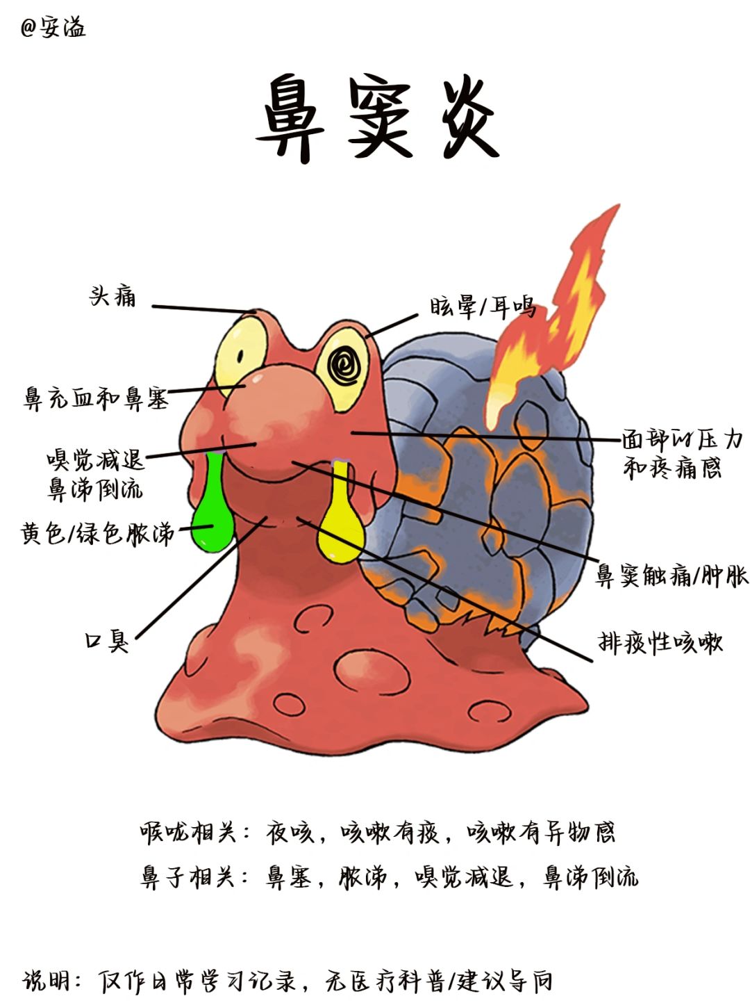 医学生绘本笔记‖鼻窦炎