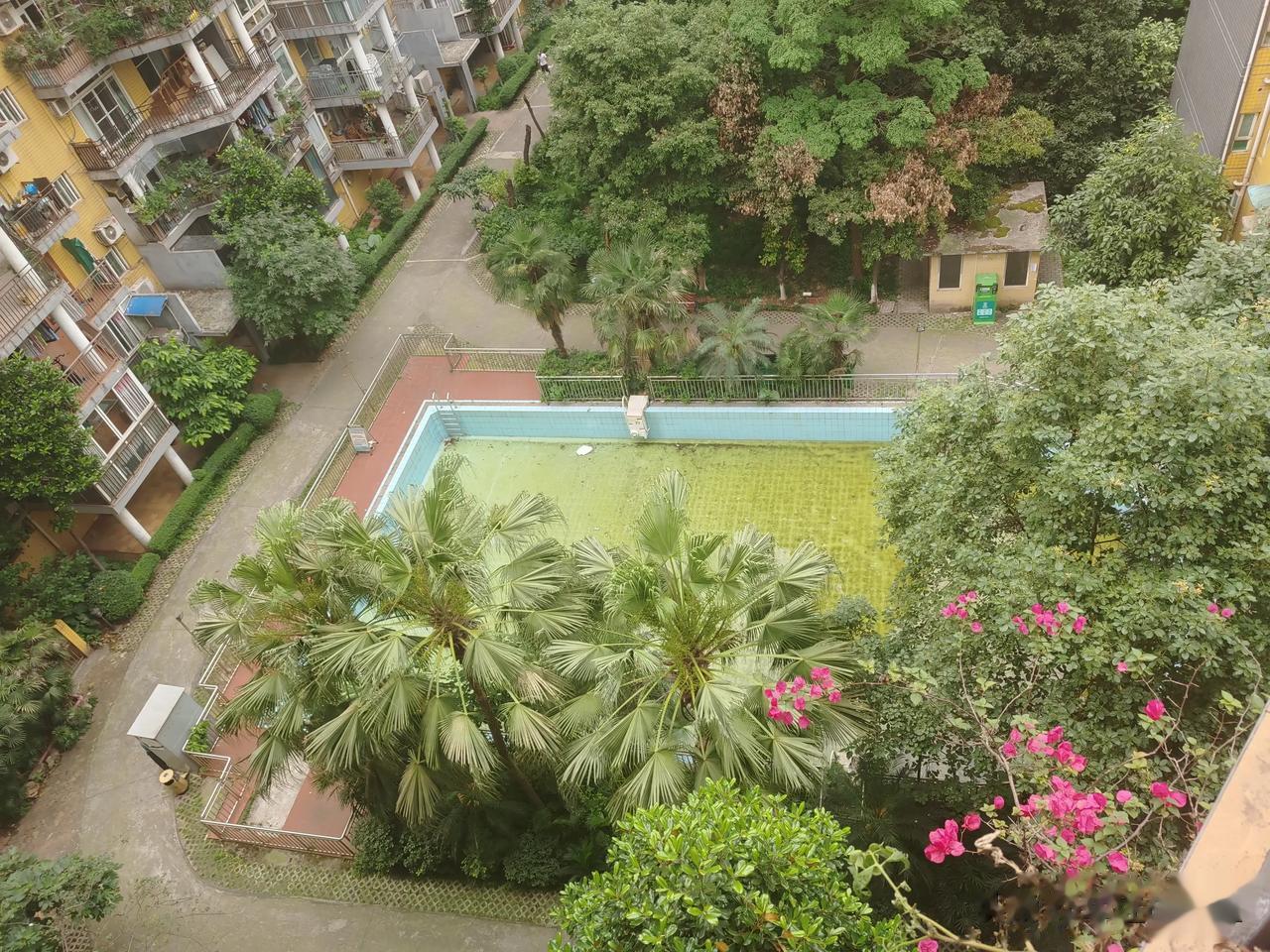 黄泥磅流星花园游泳池招租


黄泥磅红土地立交西核心地段，位置成熟，小区入住率1