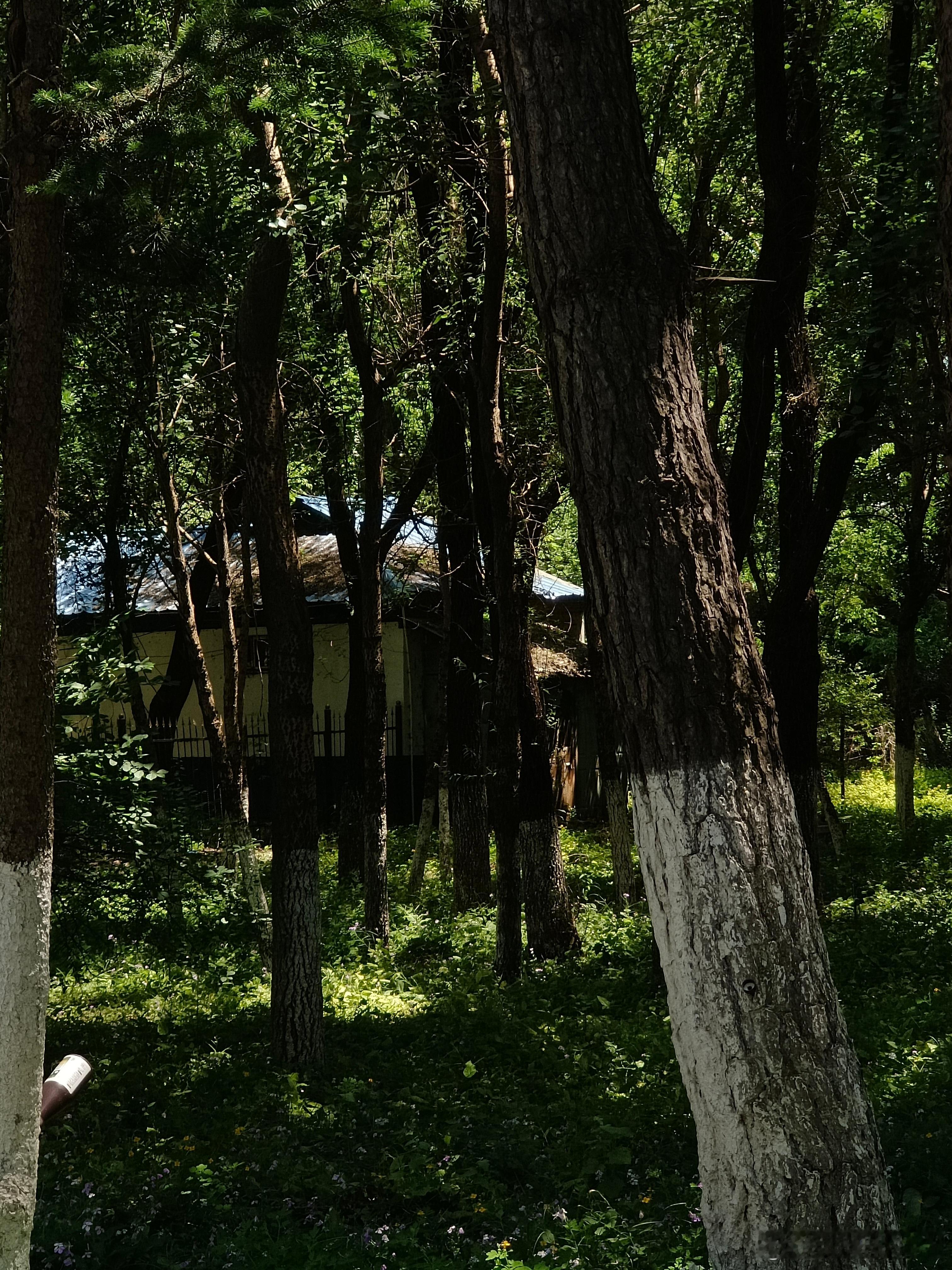 不敢相信，我的大学居然进入了倒计时 