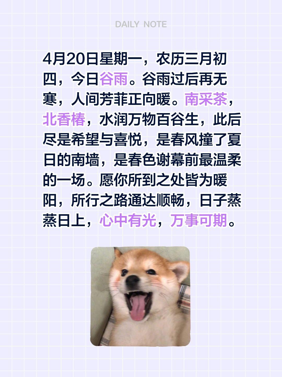 4月20日星期一，农历三月初四，今日谷雨。谷雨过后再无寒，人间芳菲正向暖。南采茶