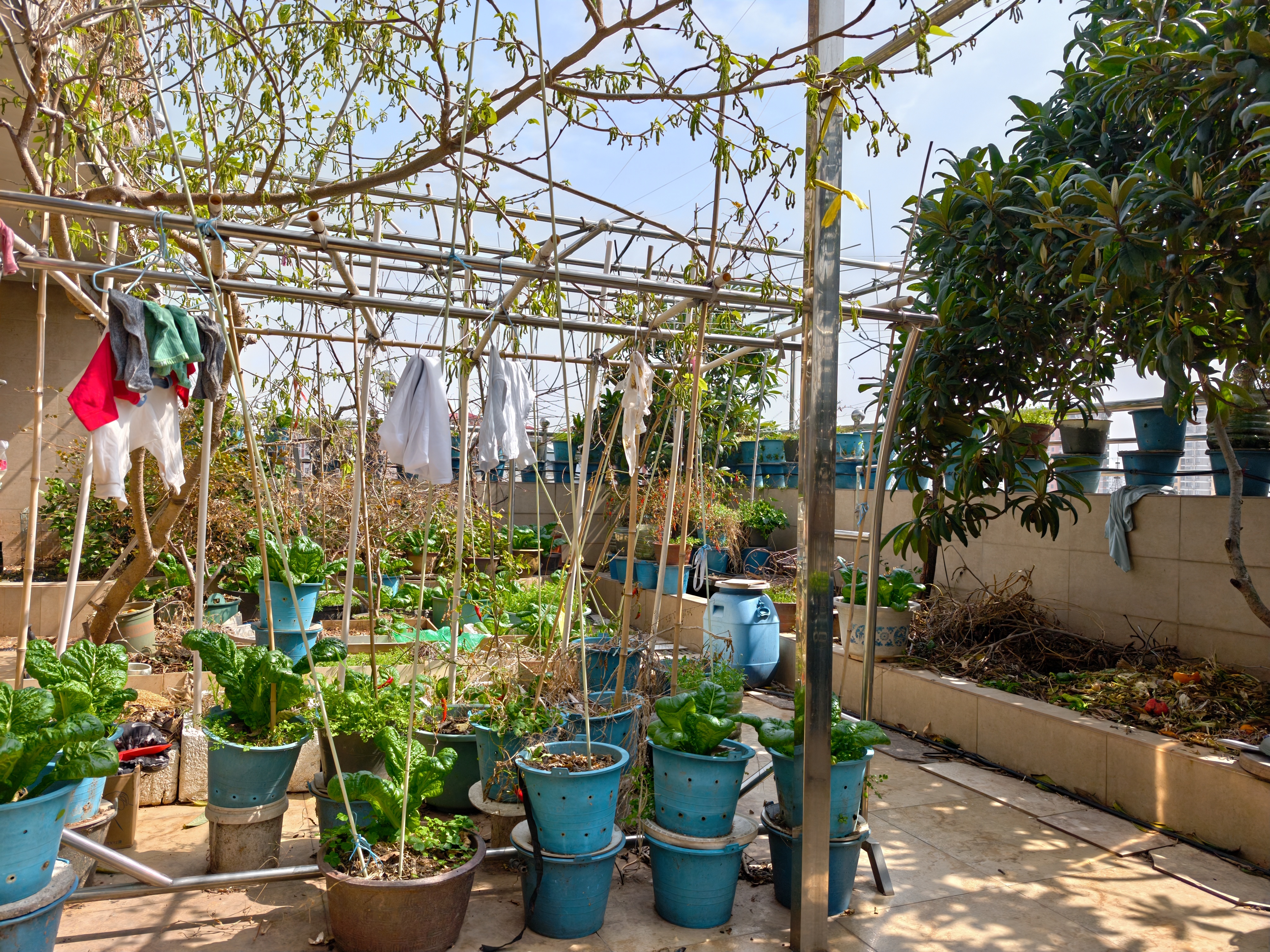 我爸天天和我说这个房子好，有一个大露台，可以晒晒太阳什么的，但是这种老小区也没有