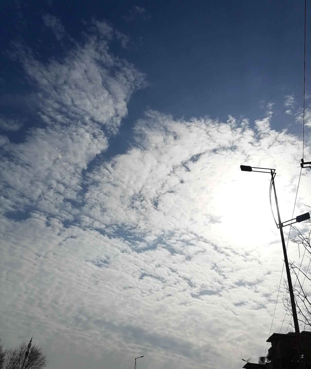 此心不动，随心而动和佛说的“应无所住而生其心”是一个道理，谁能做到谁就自由，做不