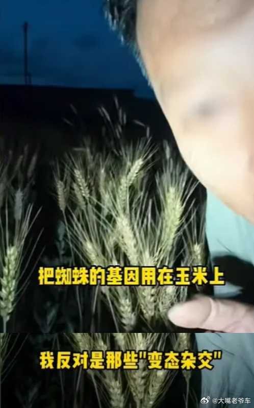 诋毁袁隆平成果网红称大不了就进去 无知的网红成天“吃饱了撑得慌”，成天瞎BB。这