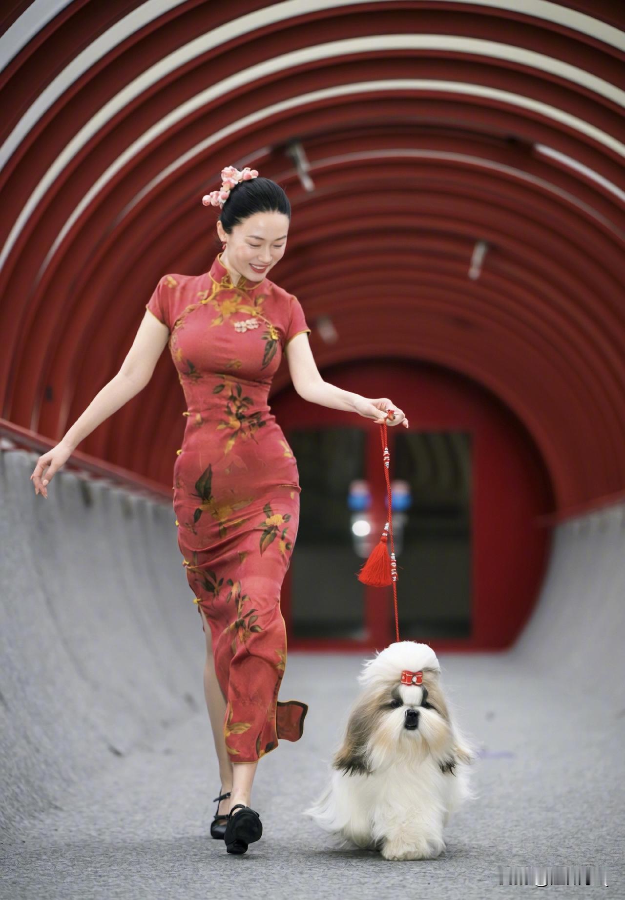 霍思燕厉害了，不当演员，却把自己爱好的做到极致，在宠物行业展露高光时刻。

霍思