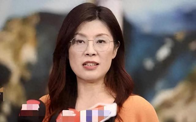 这次跟随郑丽文访陆的随团人员，应该是最没有压力的，反正所有场面郑丽文都能撑得起，