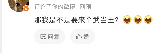嘿哟！雀骨武当王！那很一人之下（万人之上）了 