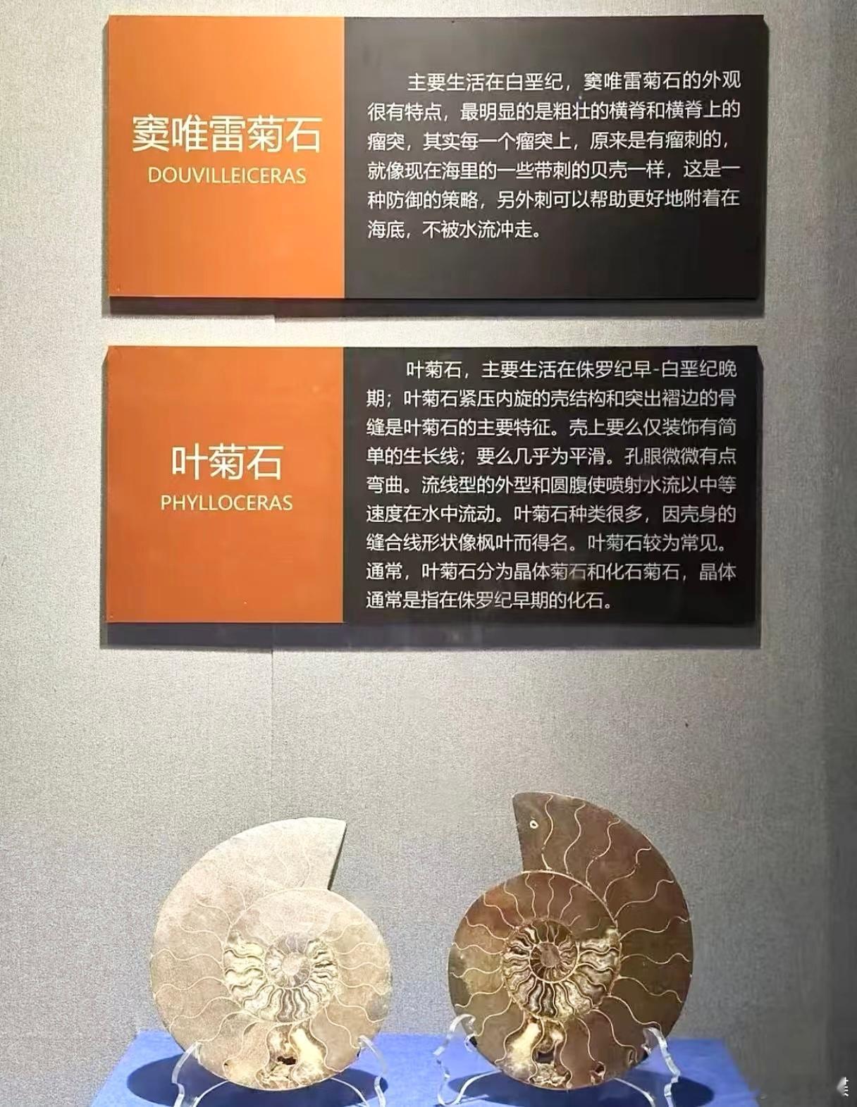 “窦唯时间”……“DOUVI”，真的是其名字的另一种写法吗？ 