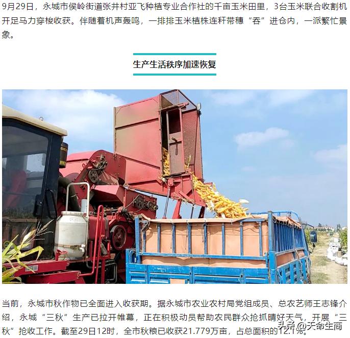 #秋日生活打卡#【永城，生产生活秩序加速恢复】

来源：今日商丘客户端 河南日报