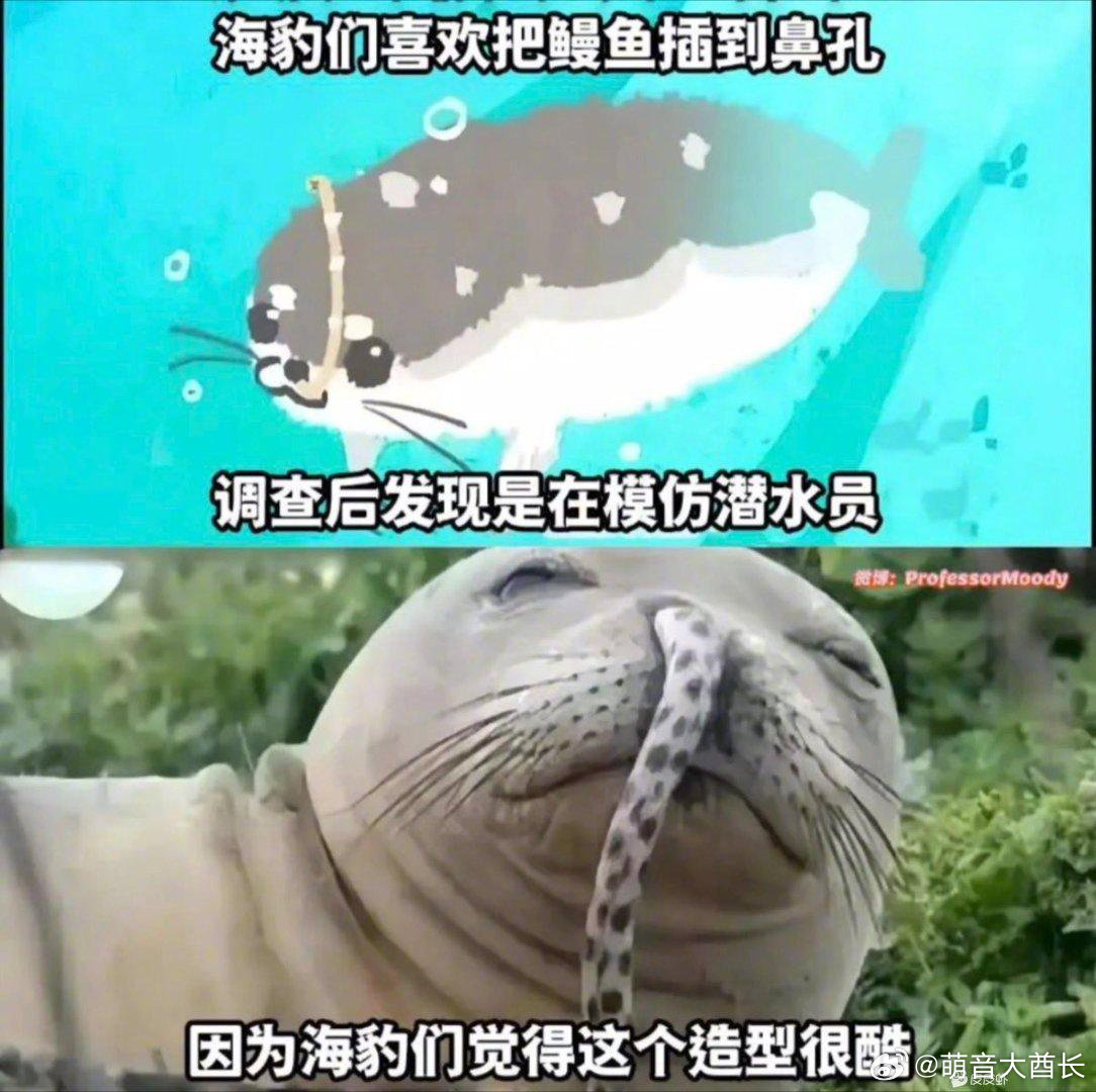 分享图片 ​​​