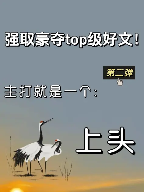 小说 文荒推荐 强取豪夺