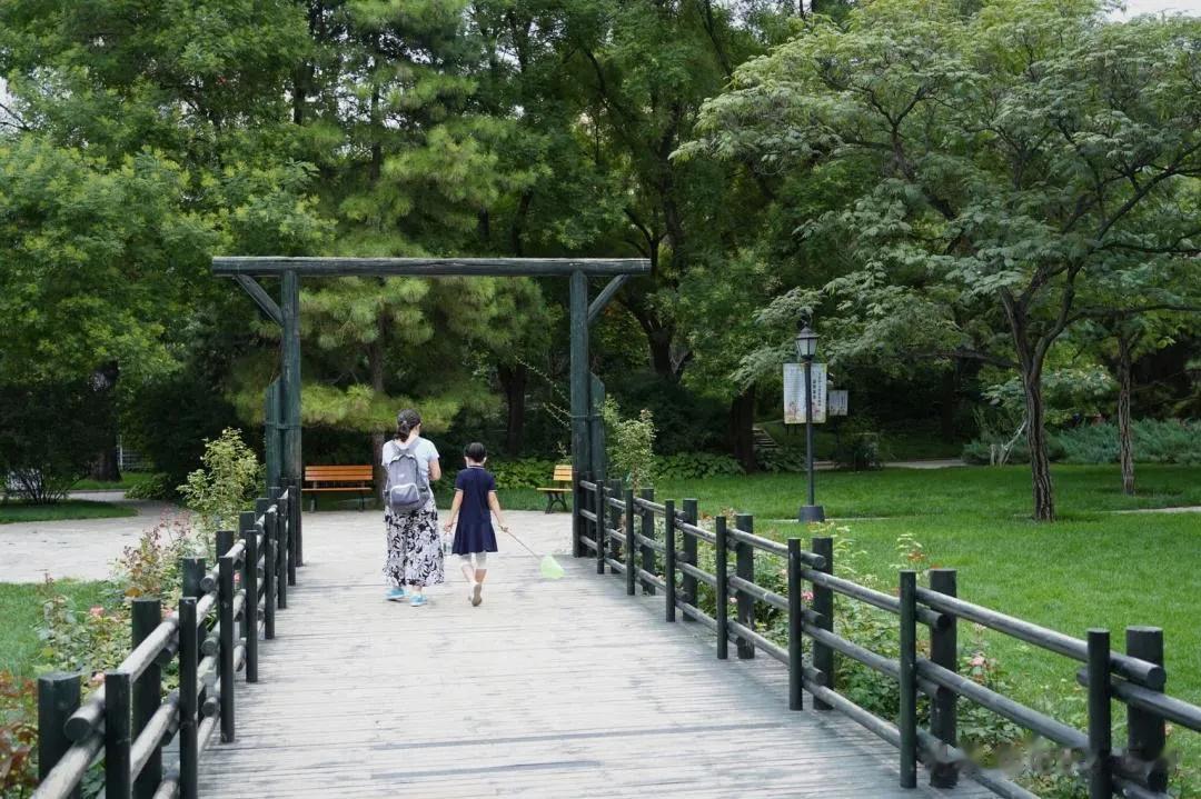 #秋日生活打卡季#
秋风清，秋月明，
落叶聚还散，寒鸦栖复惊，
相思相见知何日，