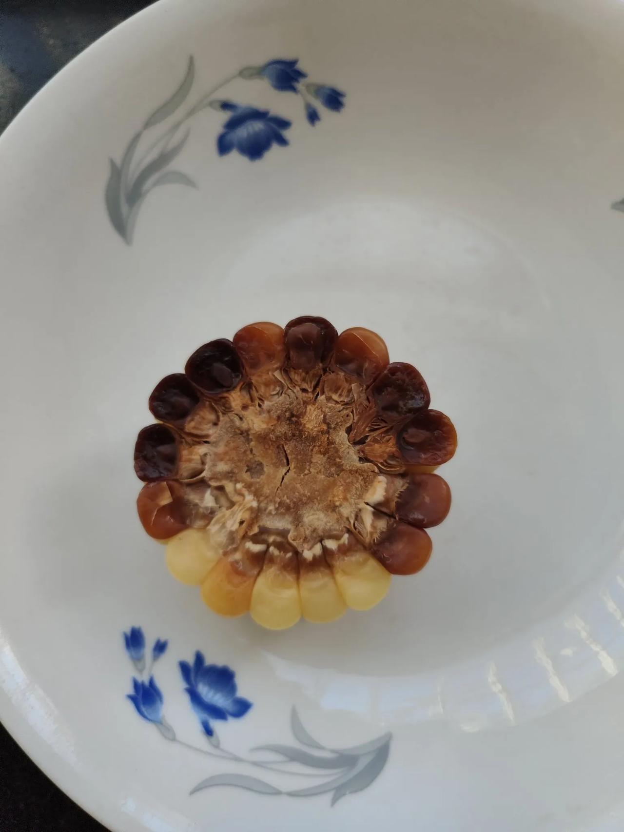 新买的玉米蒸熟后怎么成这样了？
上天看到有卖新玉米的就买了几个，回家切成段，放冰