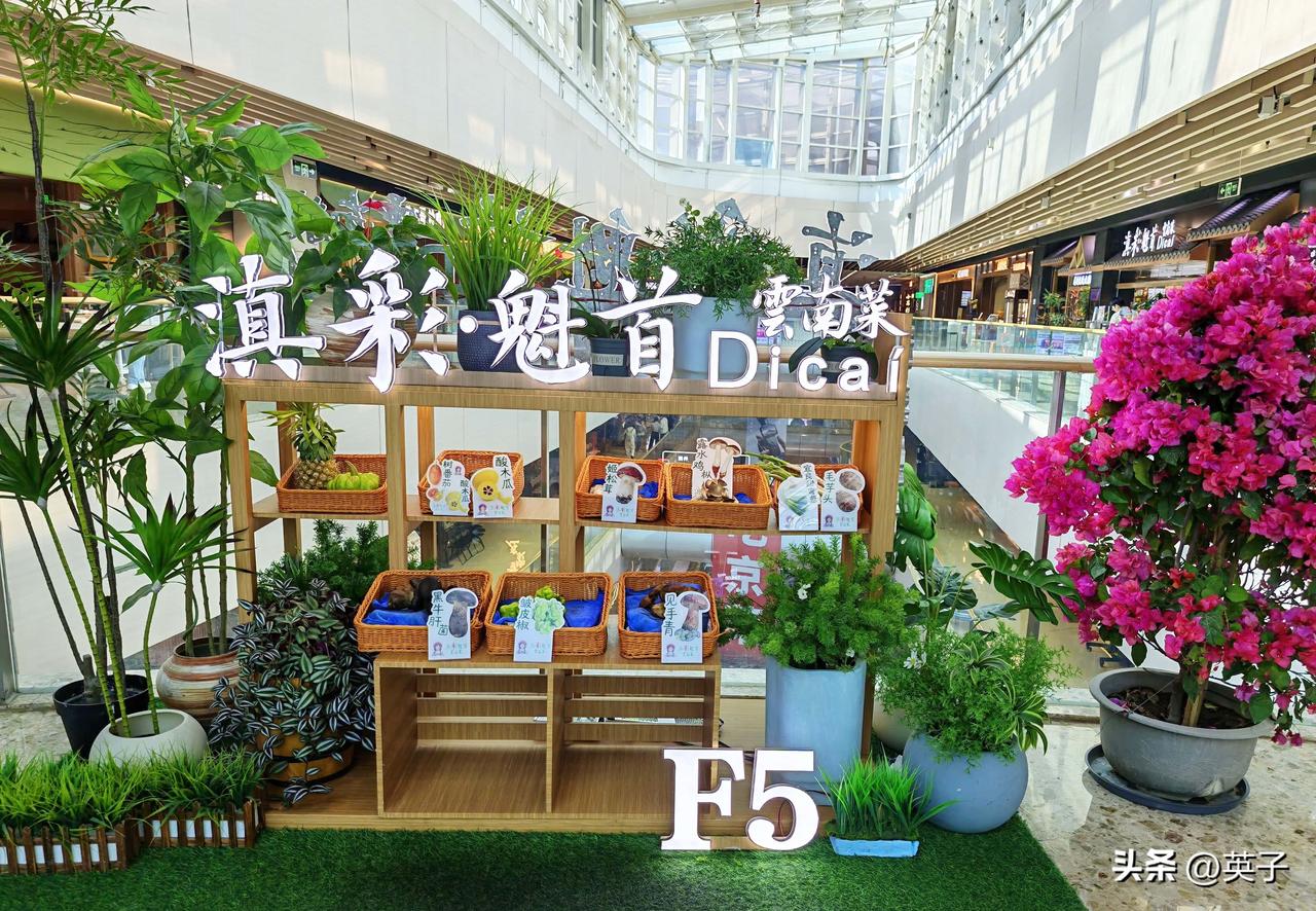 丰科万达尝滇味，非遗烤鸭有新意
逛京城丰科万达广场，五楼的滇彩魁首・云南菜，门口