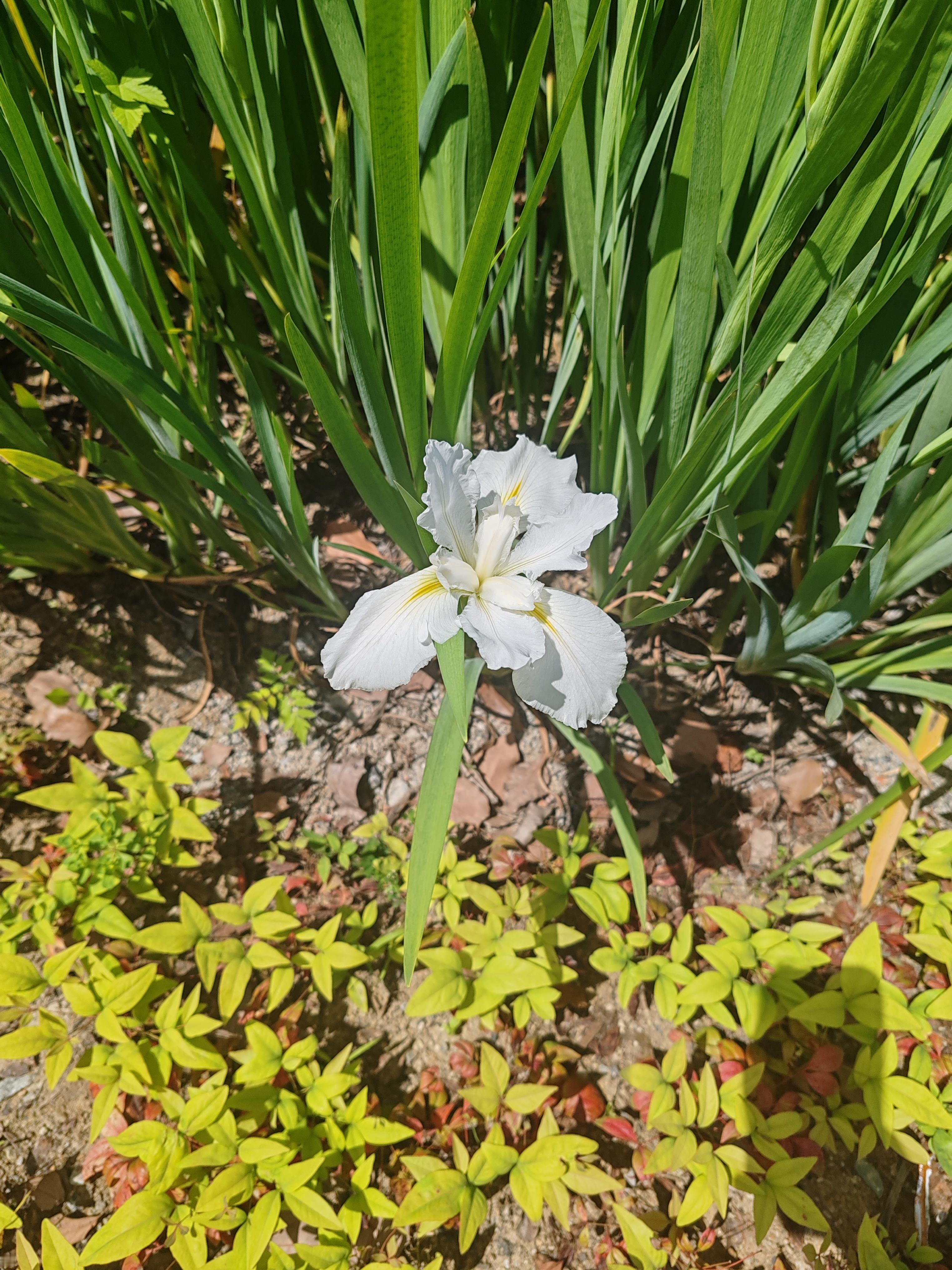 蒸汽眼罩确实很舒服，但如果使用不当，真的很容易造成低温烫伤，毕竟眼睛周围的皮肤是