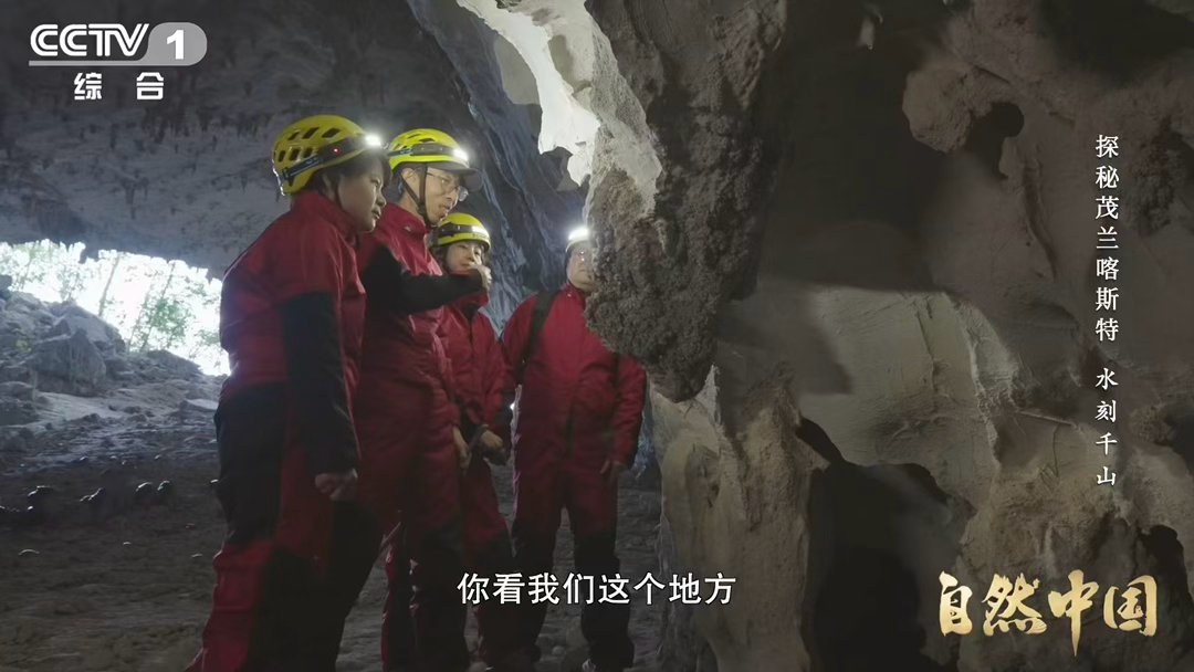 你见过石头开出的花吗喀斯特溶洞里藏着石头珍宝 石花是方解石在蒸发中开出的花，穴珠