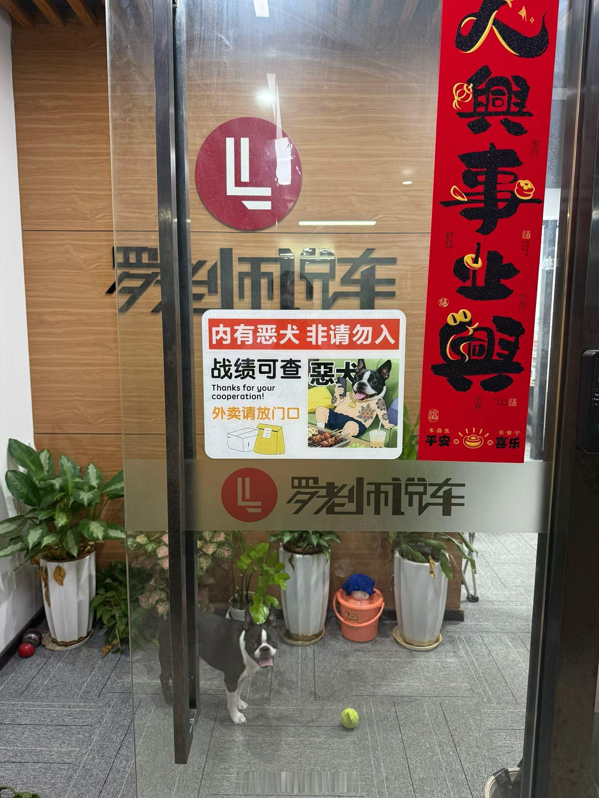 我家的这只狗最近扑美团以及饿了么的外卖员，应该是和他们穿的衣服颜色有关，顺丰京东