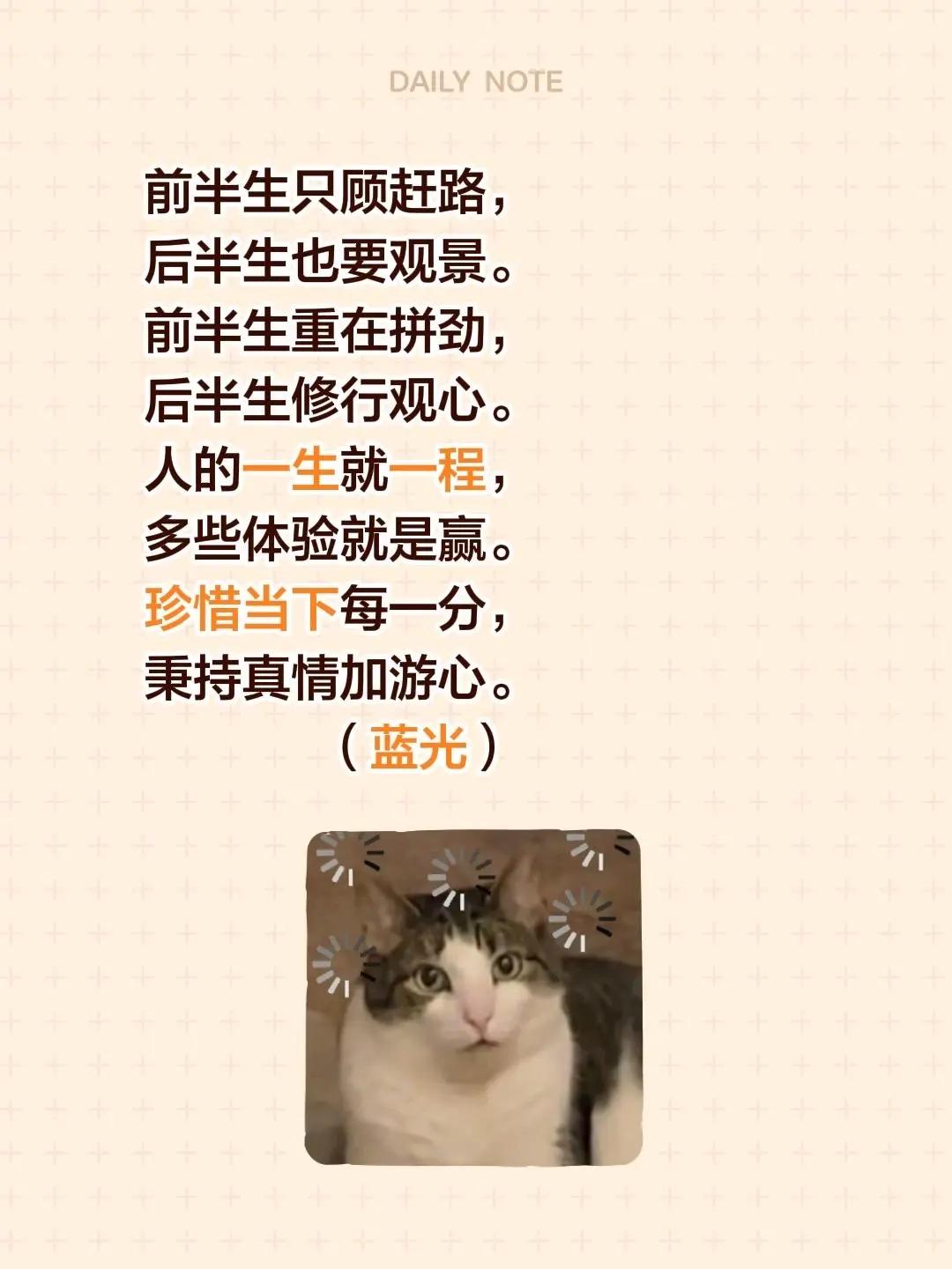 蓝光心里话。我评论了@周周在东北 的作品：前半生只顾赶路，后半生也要观景。前半生