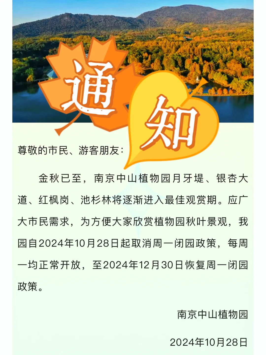 南京中山植物园周一不闭馆了！12月30日恢复