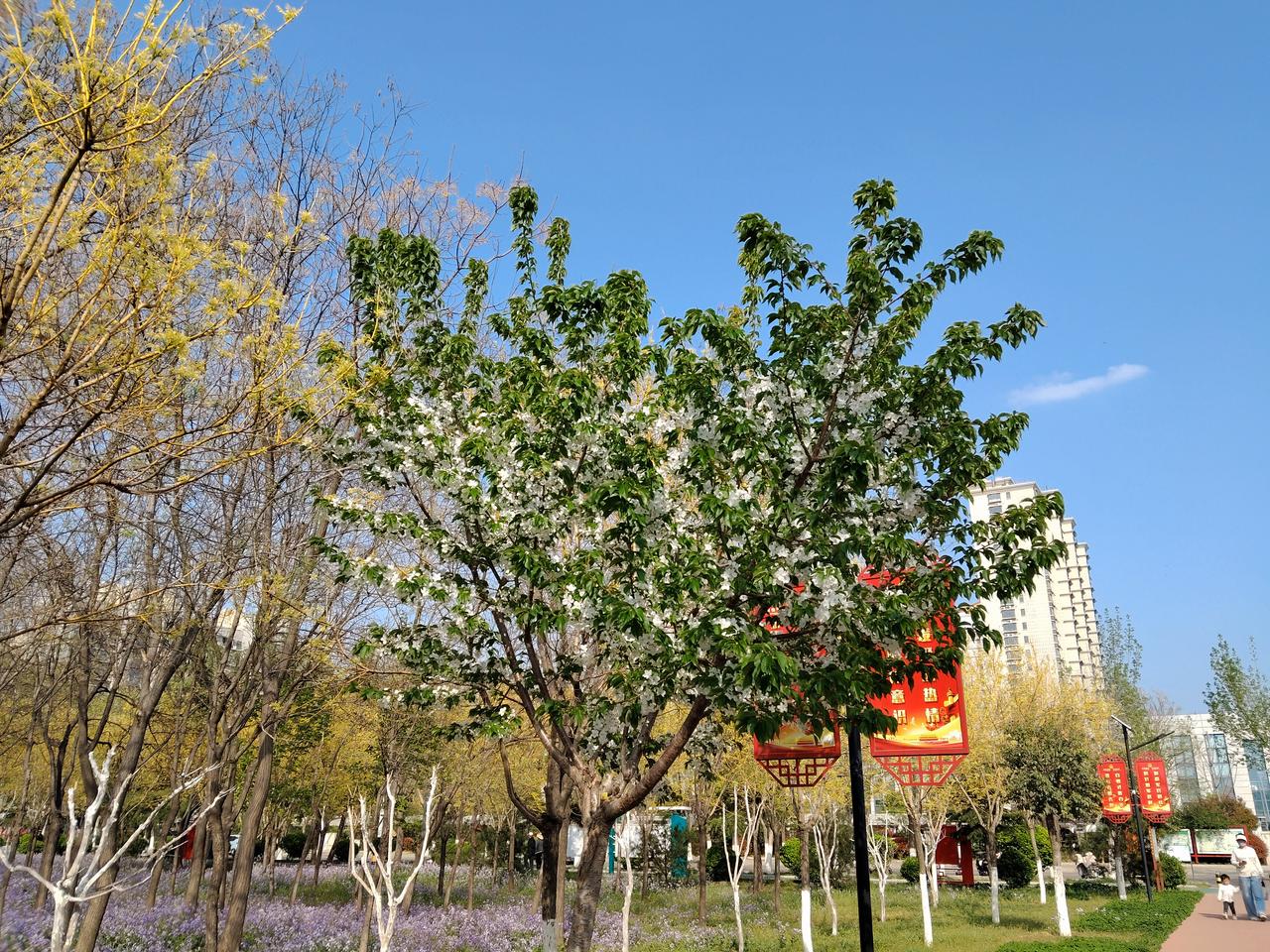 五一我还是选择在家，因为外出游玩，到哪里都很拥挤，不如在家附近活动活动。

既锻