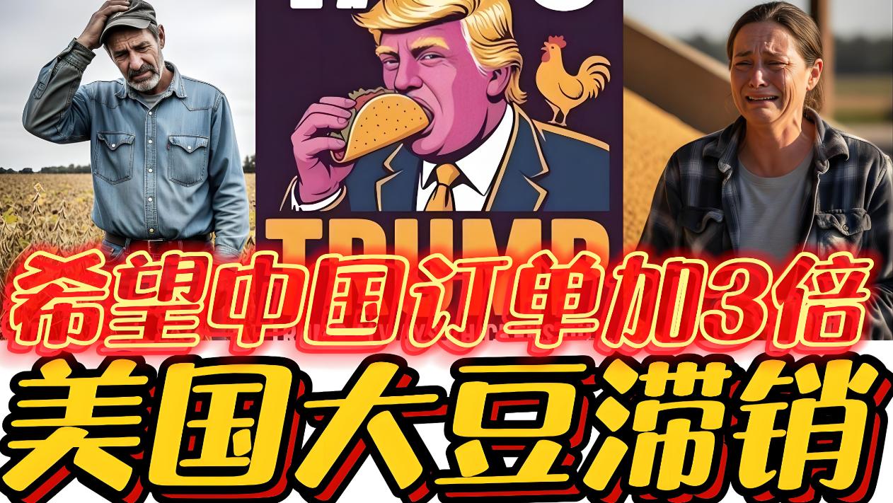 别笑特朗普卖大豆，能掐住美国七寸的，不是芯片，而小小的黄豆！

好多人都觉得，大