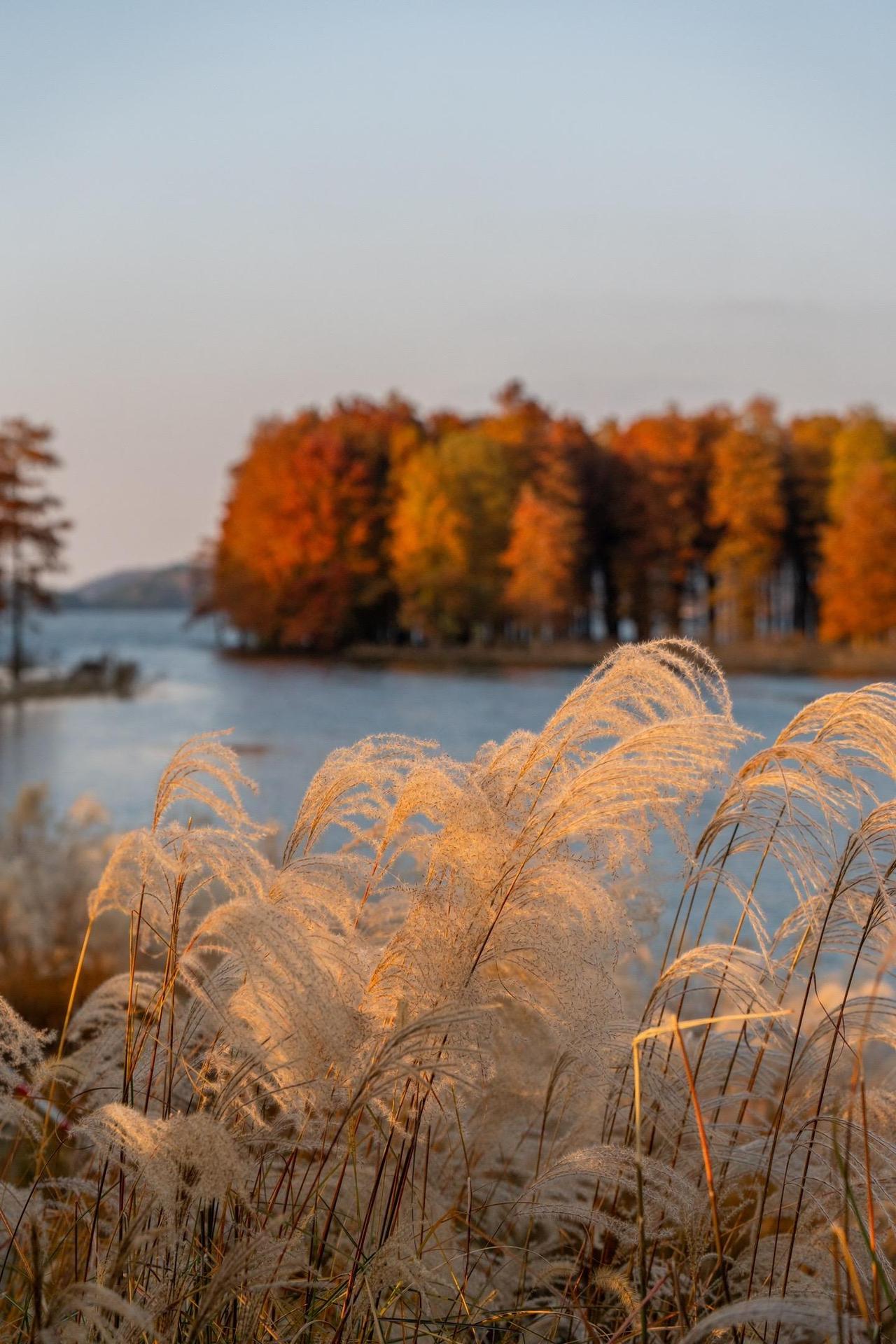 接待了一位高三学生的家长，家长的想法是让孩子在最后一个月冲刺一下，问我是否可行。