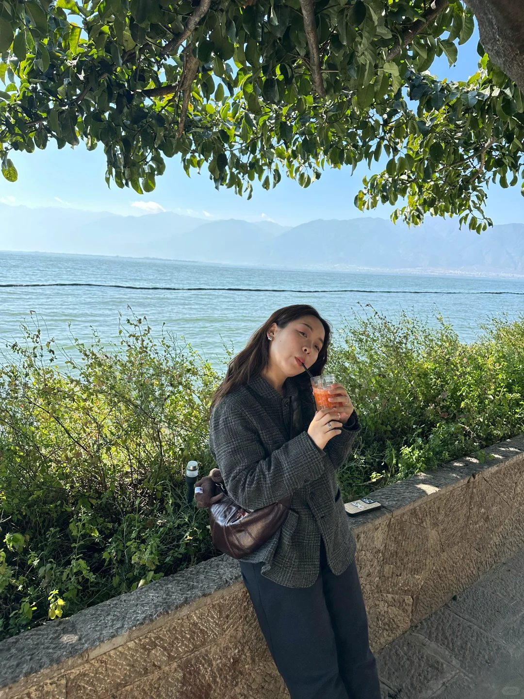 阳光 小狗 洱海🌊🐕