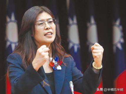 6月26日，郑丽文受访时表示，国民党版“无人机条例草案”的大致方向——主打支持防