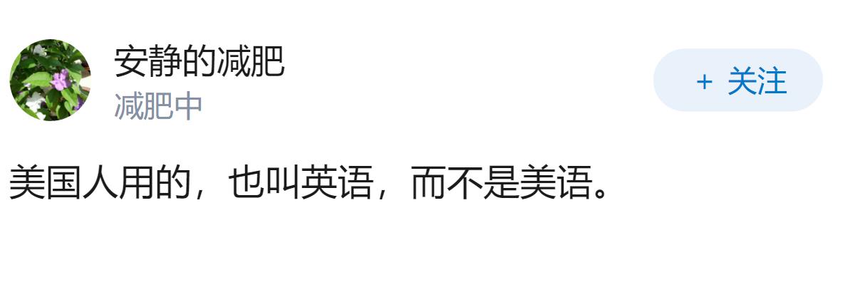 如何评价人民网2026年8月6日刊发的文章《用“Token”还是“词元”，事关科