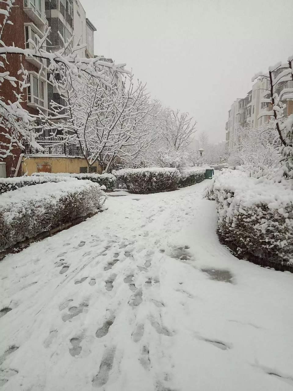 冷空气钻进鼻腔，呼吸都变得清冽，整个人瞬间清醒。看着雪花一片片飘落，时间仿佛慢了