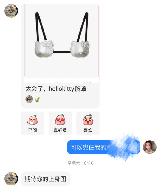 太会了 hello kitty
