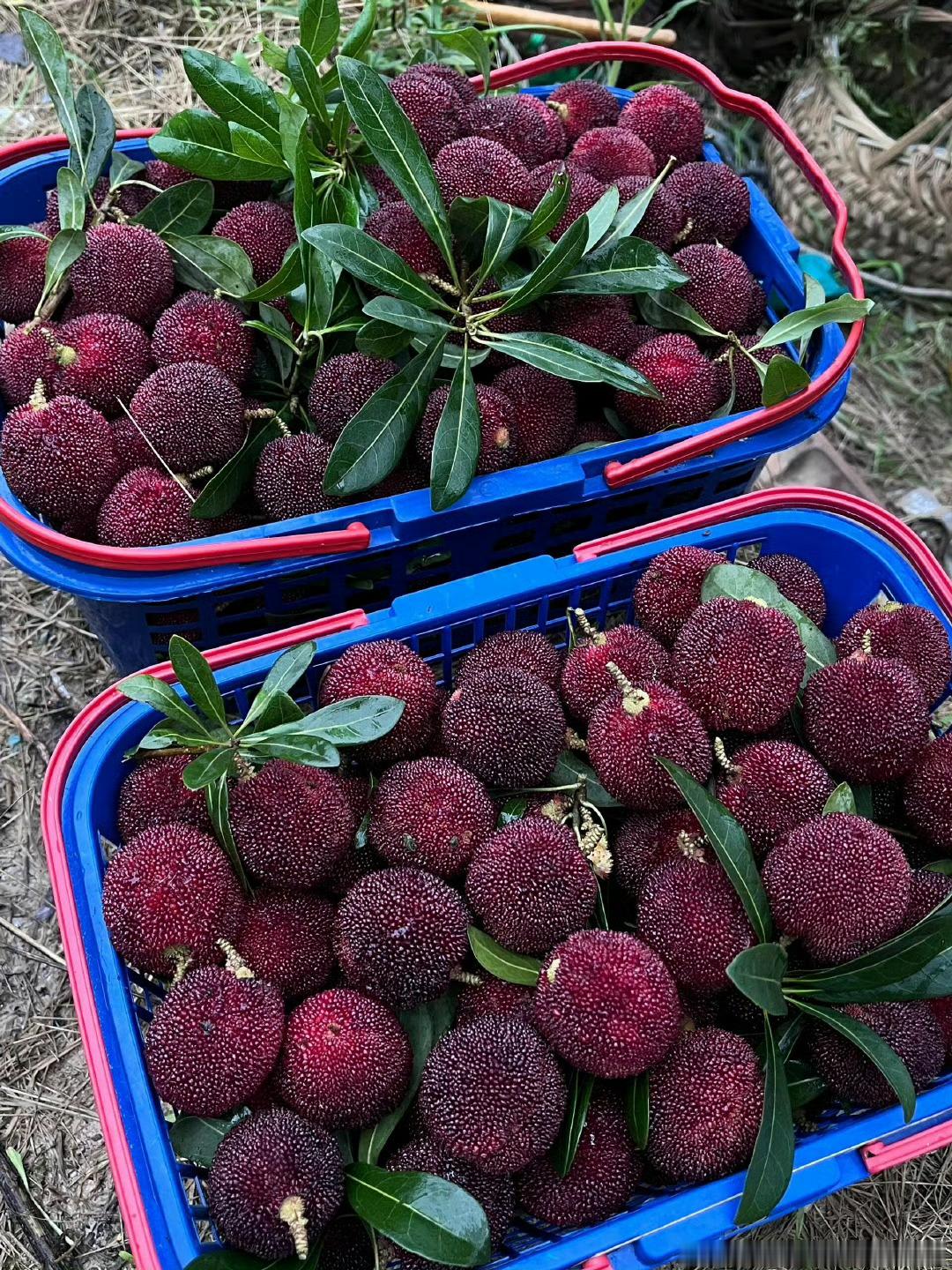 ⛅️ིྀ𝒕𝒉𝒆𝒎𝒐𝒎𝒆𝒏𝒕幸福的本质就是捕捉一些微小的瞬间我的