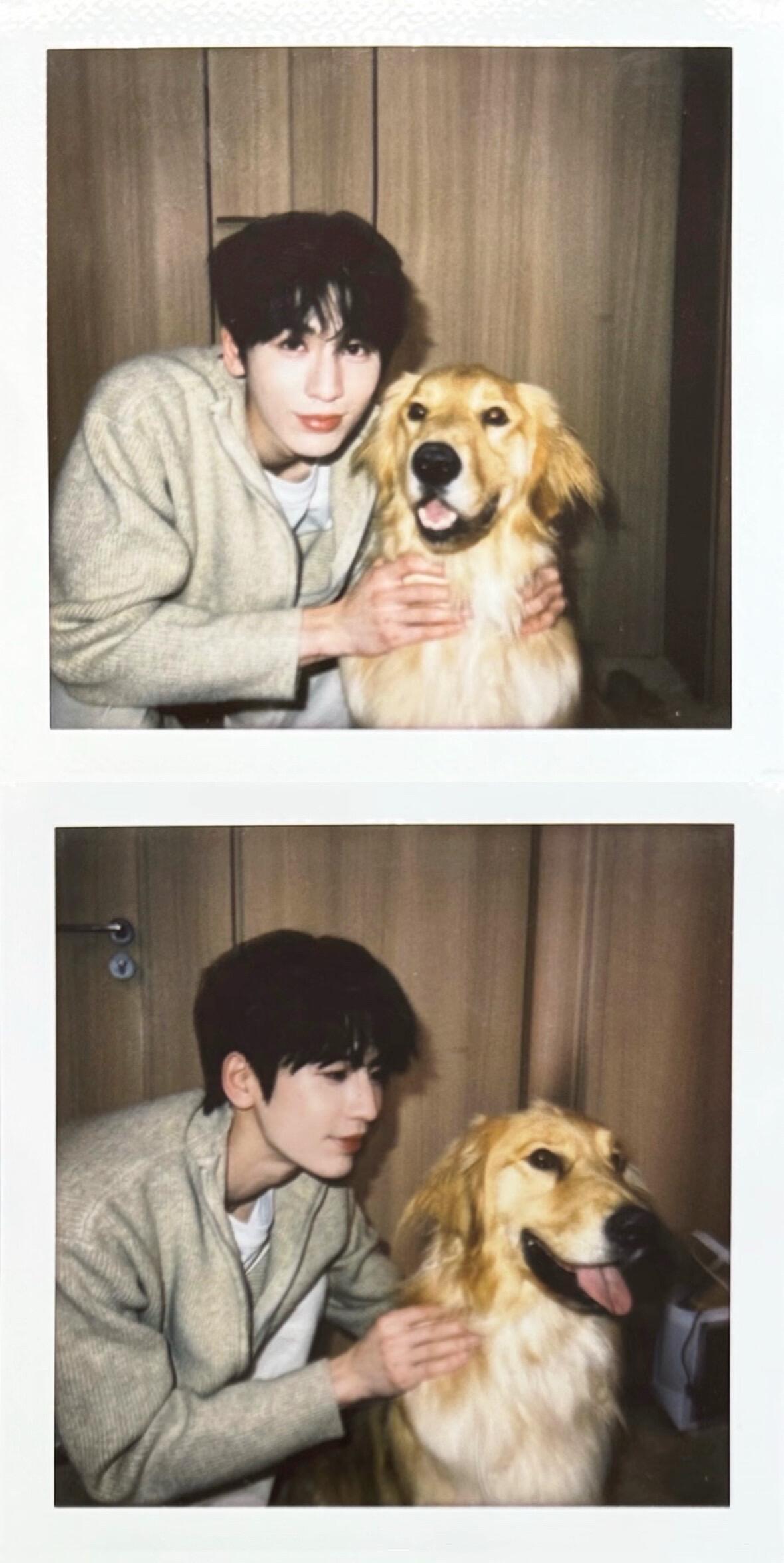 帅得不知道拿那一张当壁纸^_^ 