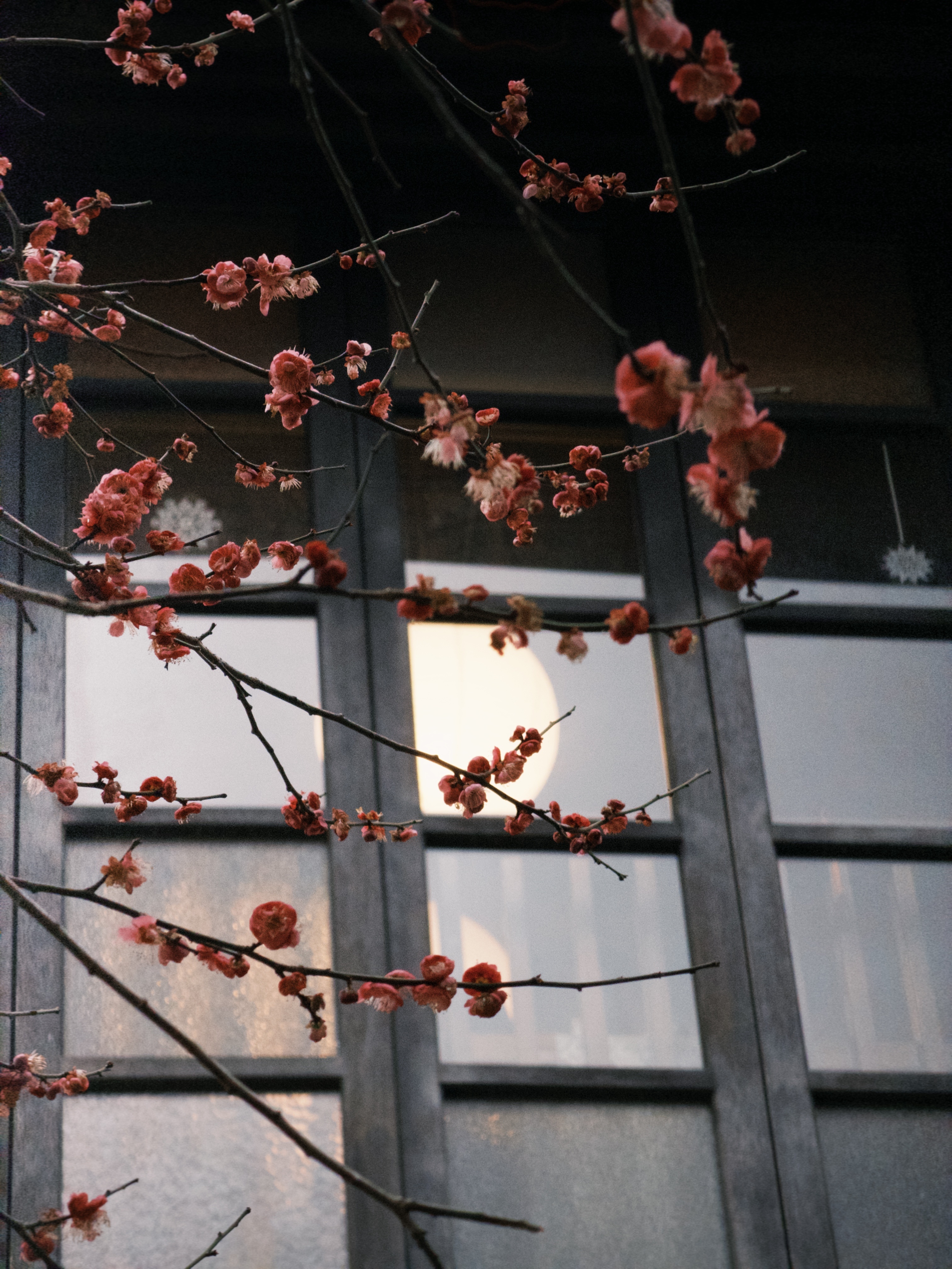 魏牌新款V9X官方图来啦！定位AI豪华六座旗舰，这个外观这个颜色很有东方的设计美