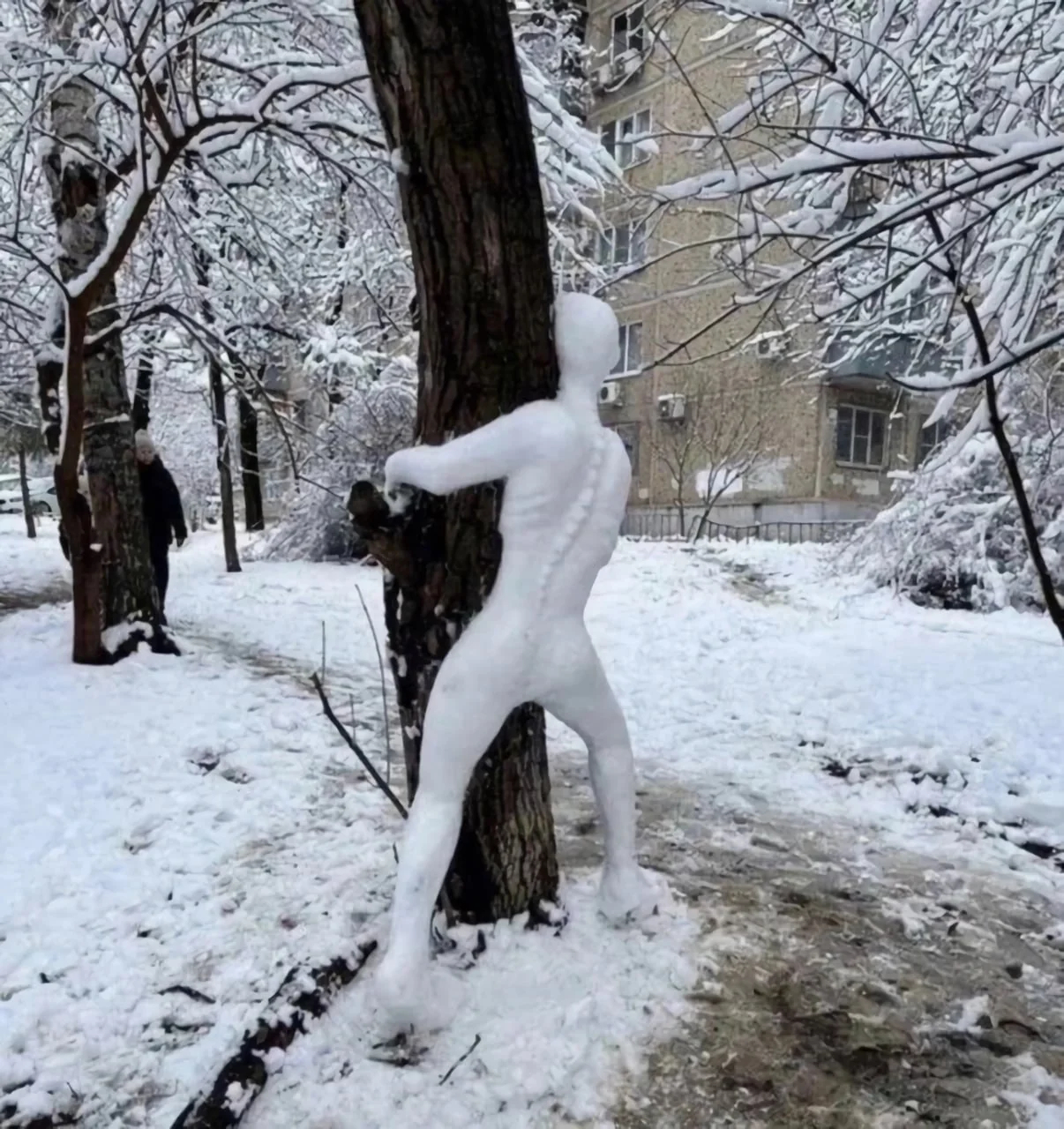 圣彼得堡街头的掉san雪人 ​​​
