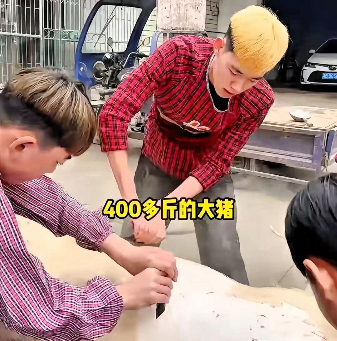 贪婪，短视，无耻，蛮横，人性的丑陋在湖南株洲这场杀猪宴展现的淋漓尽致！事情曝光后