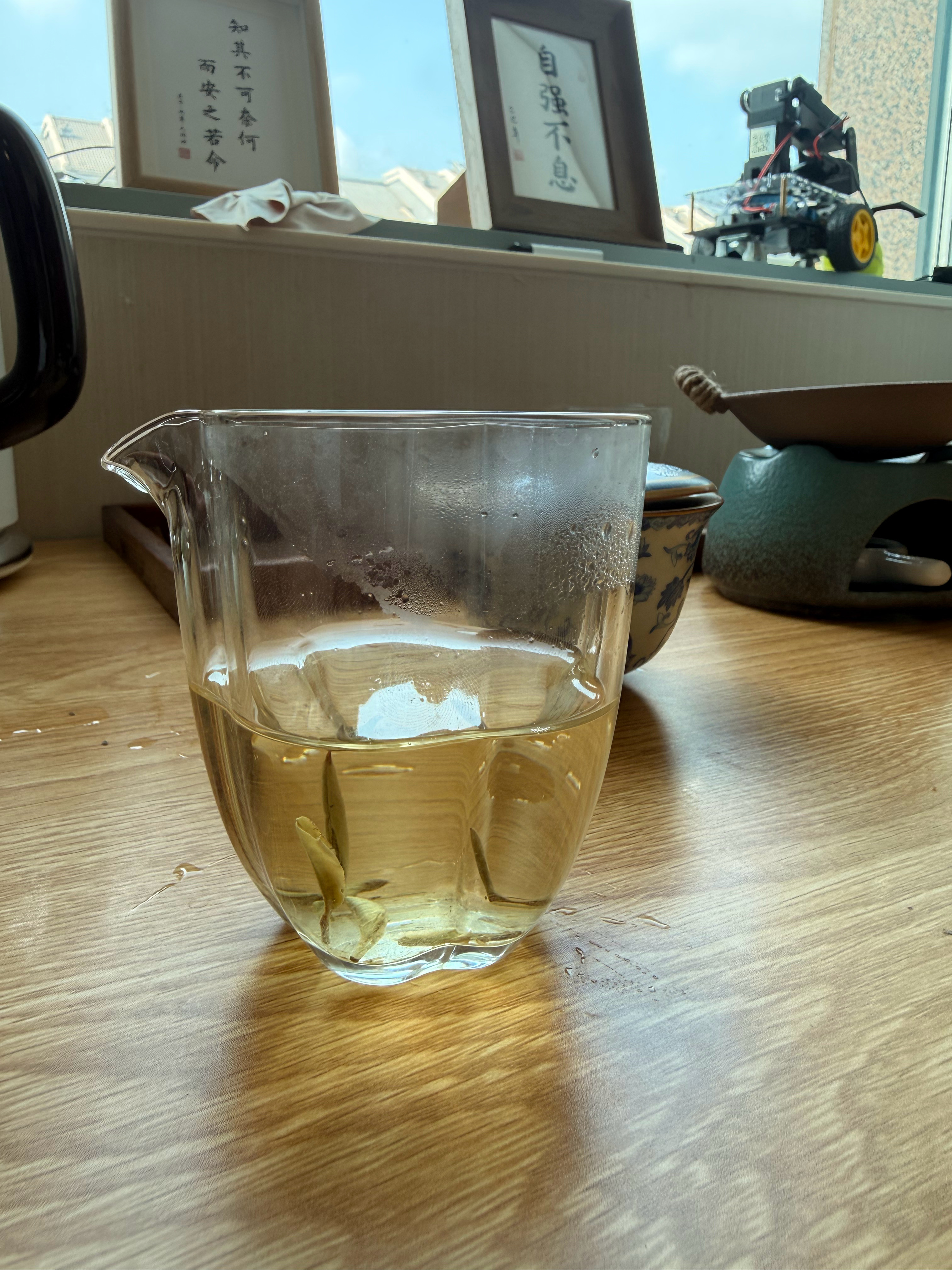 今天喝白茶。 