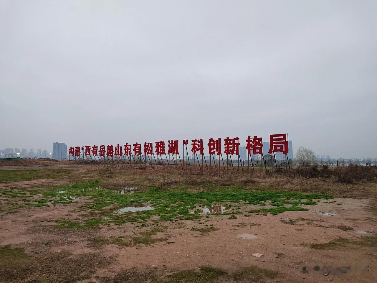 近段时间长沙持续降温且降雨不断，好不容易今天下午停歇了一会儿，我便独自一人来到松