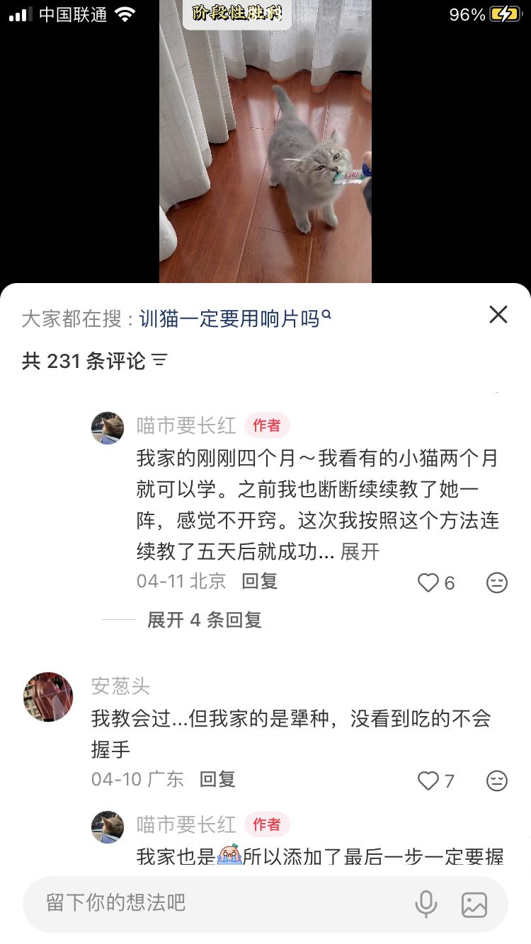 原来别人家四个月的猫这么小……我家这只三个月看着像六个月的