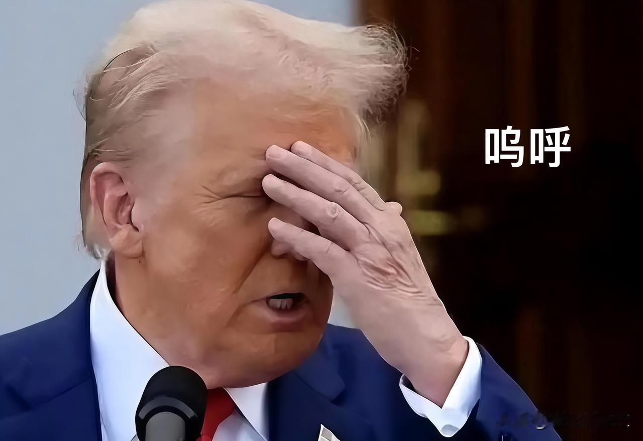 这回老美可是被现实狠狠打了一记耳光，看着都疼！

之前喊着要“脱钩”喊得多凶啊，