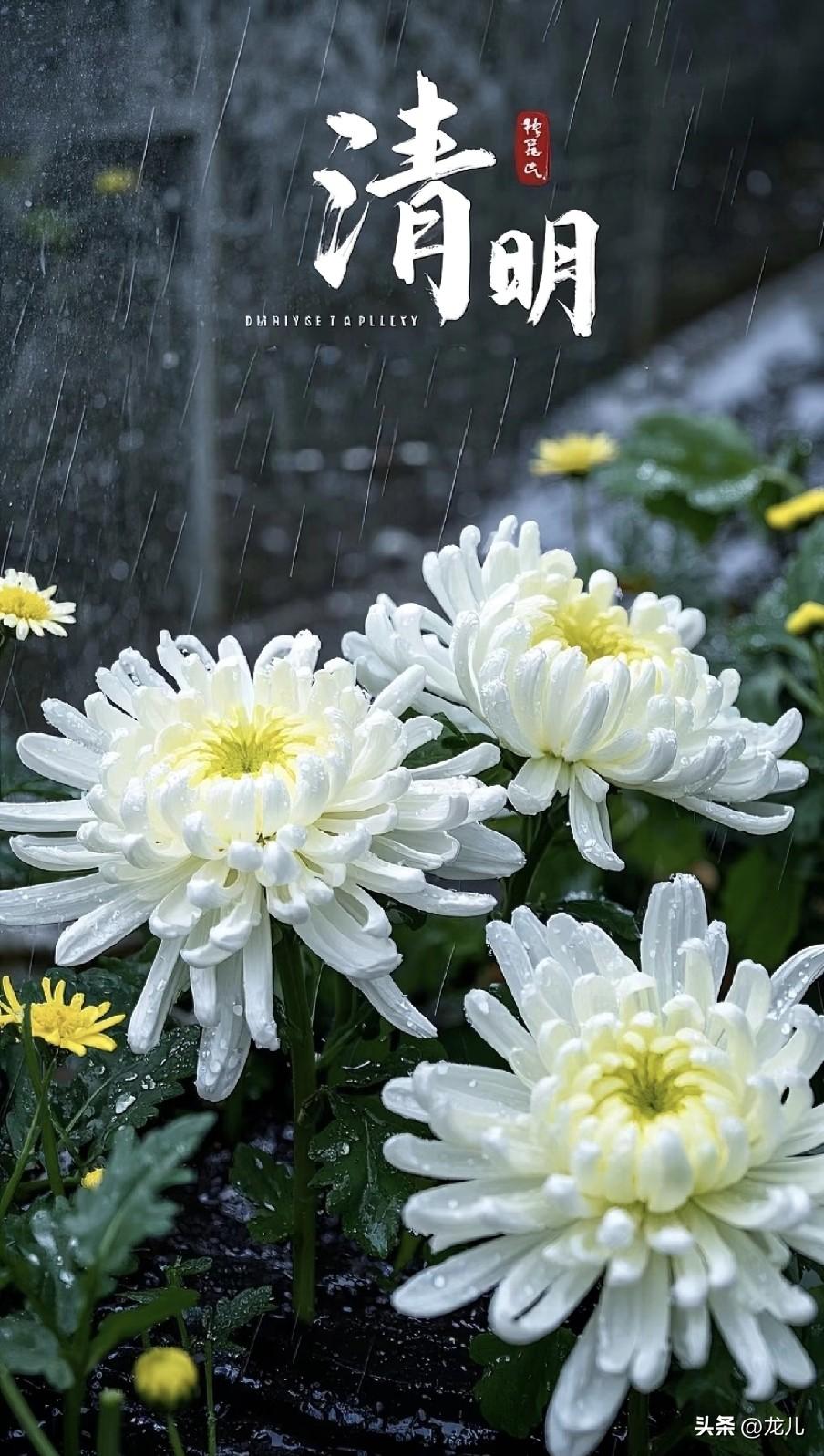 清明牢记：1不走、2不早、3不烧、4要吃，真不是迷信
 
2026年4月5日为清