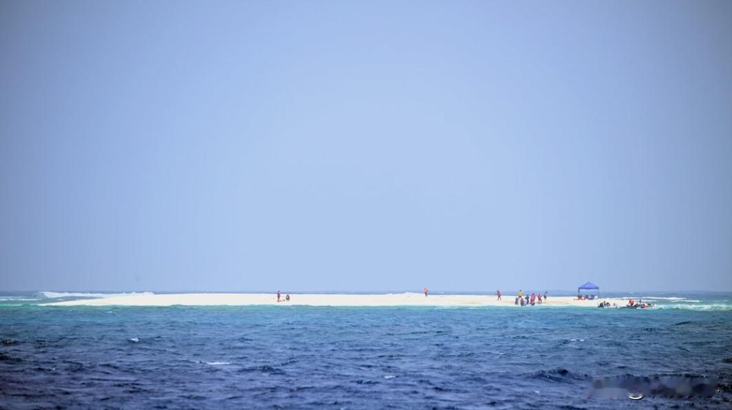 “民族之耻，民族罪人，民族败类！”3月27日，台湾省方面公开了一批，在3月21日