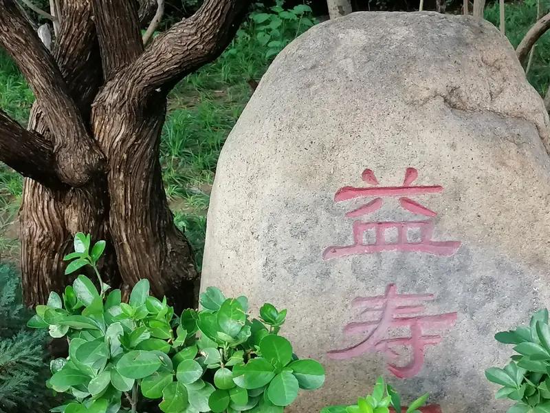 有人的观点，觉得老人活得太长并不好，不但自己受苦受累，家人也遭受了折磨和痛苦，