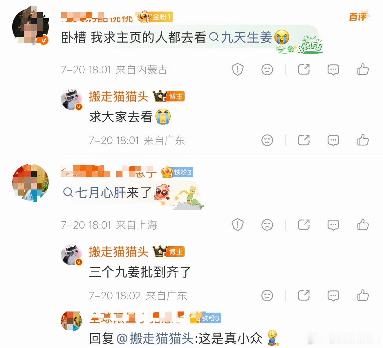 完蛋啦…这次真的搞到超小众了 