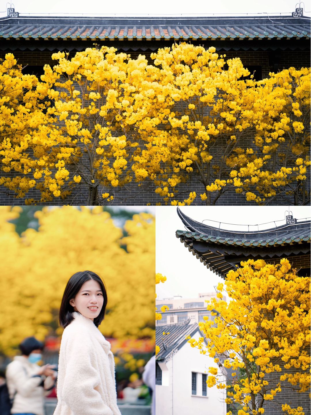 我在广州的春天，遇见一座开满鲜花的寺庙💐
